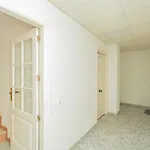 001 Lirio - Alicante Appartement Torrevieja