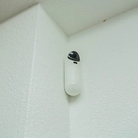 001 Lirio - Alicante *