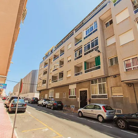 001 Lirio - Alicante