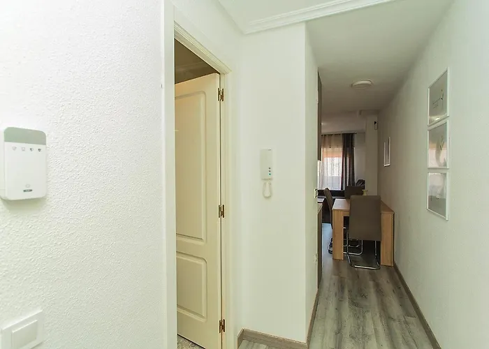 001 Lirio - Alicante Torrevieja