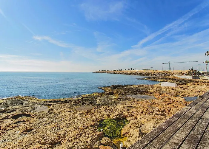 Lejlighed 001 Lirio - Alicante *