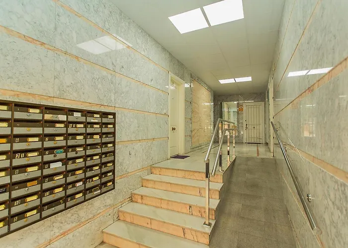 001 Lirio - Alicante טורבייחה